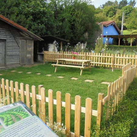 Albergue Areitz Soroa Arce Εξωτερικό φωτογραφία
