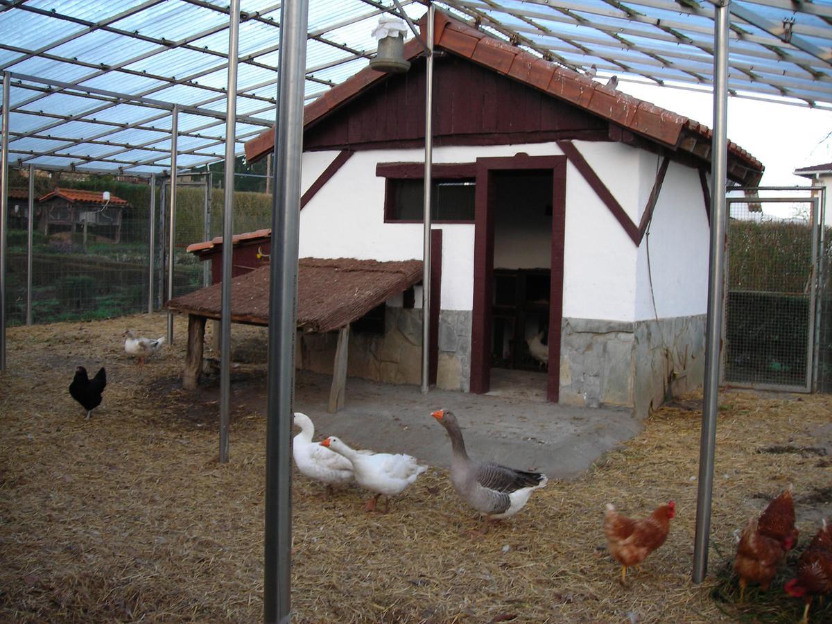 Albergue Areitz Soroa Arce Εξωτερικό φωτογραφία